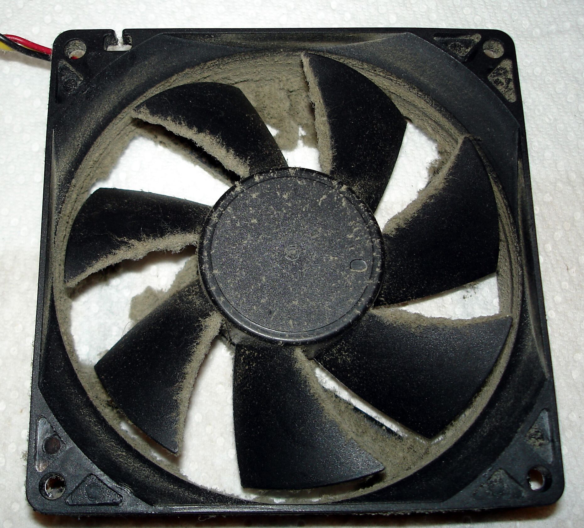 Dirty case fan (interior face)